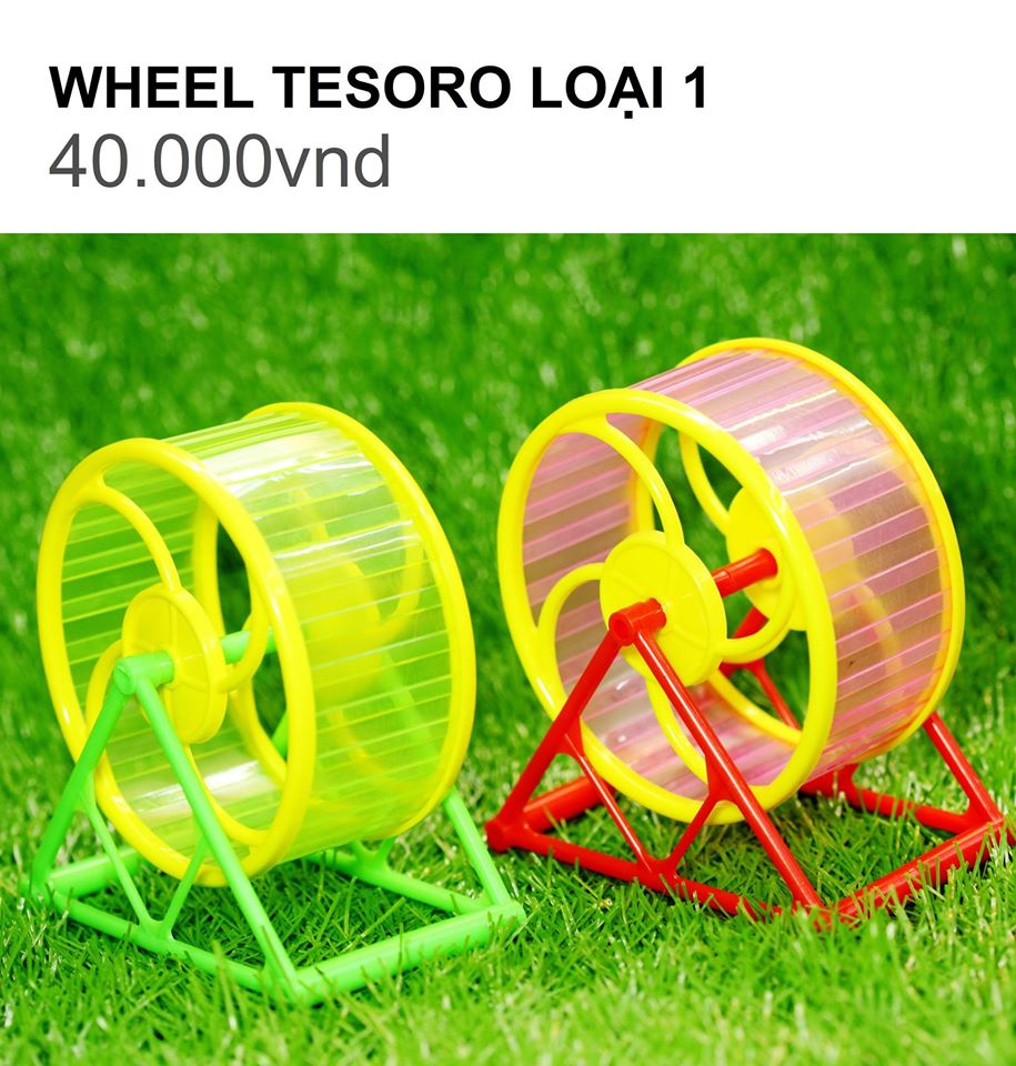 WHEEL TESORO LOẠI 1