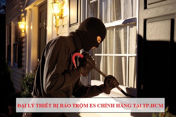 Mua thiết bị báo trộm ES chính hãng ở đâu tại TP.HCM?