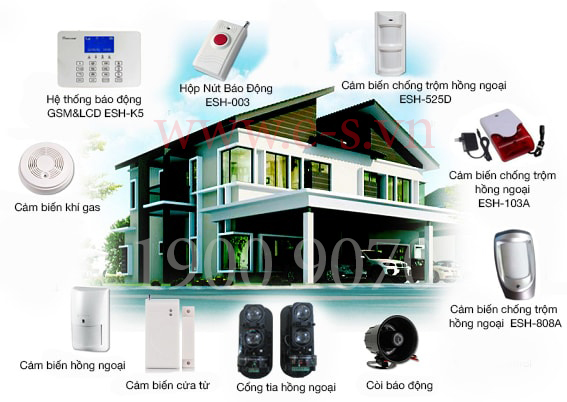 Những loại sản phẩm mới ra mắt thắng 8/2017