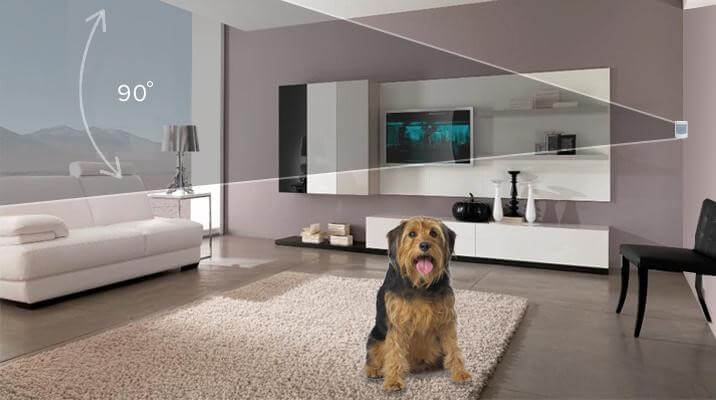 Con vật nuôi trong nhà cũng là nguyên nhân gây nên báo động giả