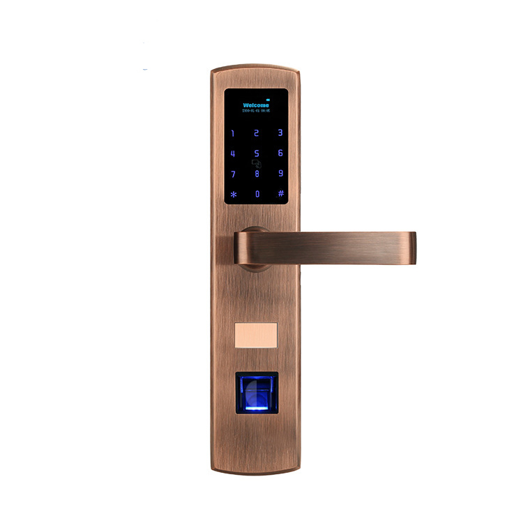 Khóa cửa vân tay A1