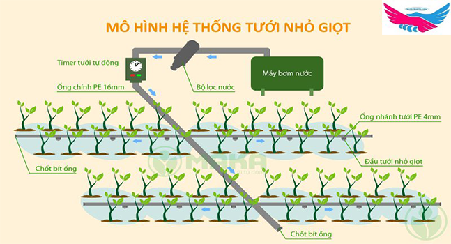 Sơ đồ hệ thống tưới nhỏ giọt