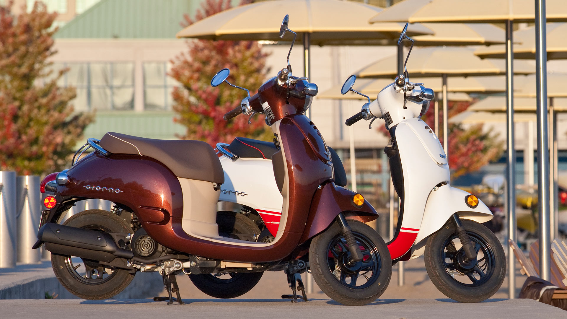 Cùng Honda Giorno 50cc kiêu hãnh dạo phố đón gió mùa về Cùng Honda Giorno 50cc kiêu hãnh dạo phố đón gió mùa về