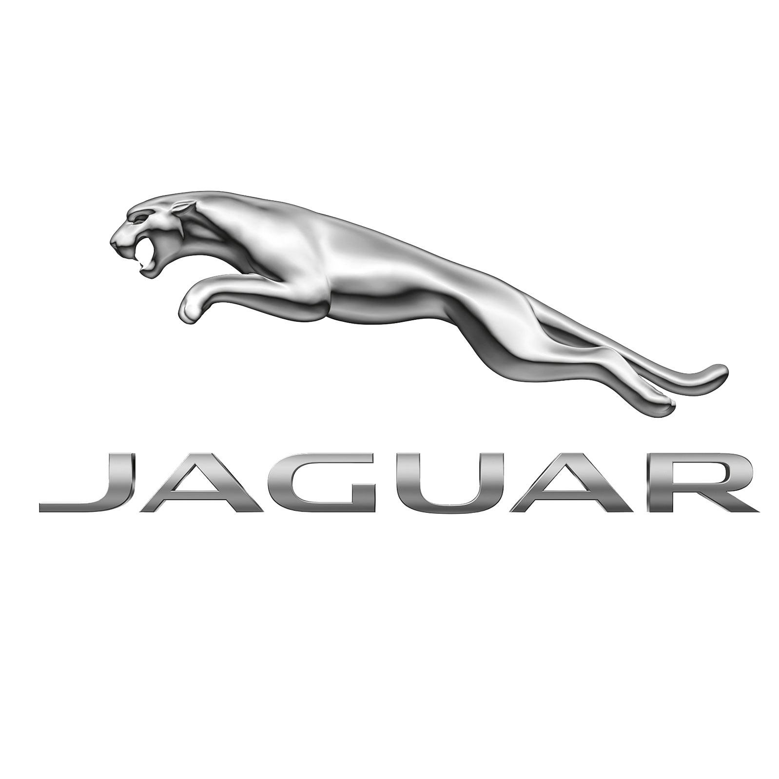 Jaguar Jaguar