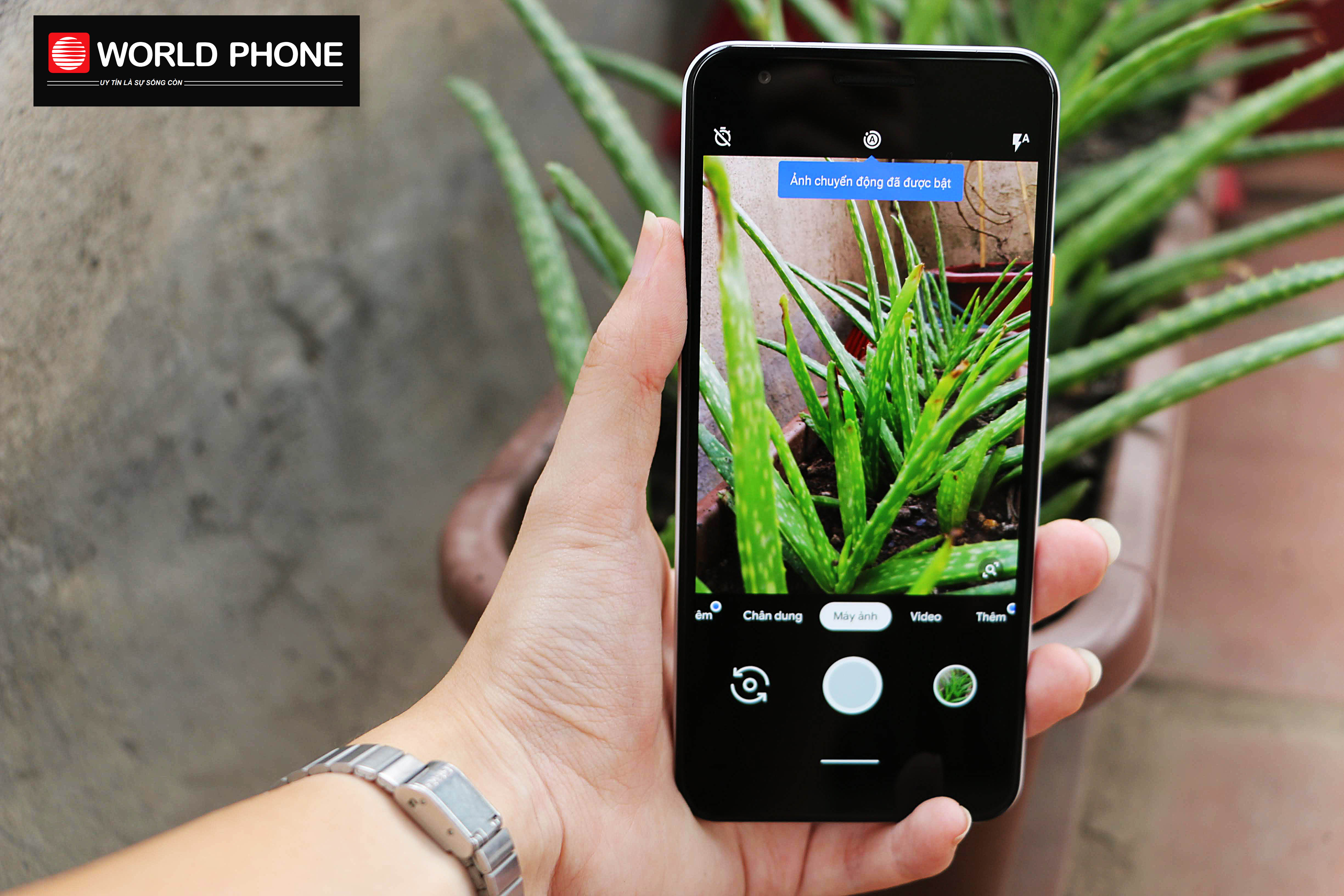 Một camera cân cả thế giới - Pixel 3a đã tạo nên đột phá cho Google