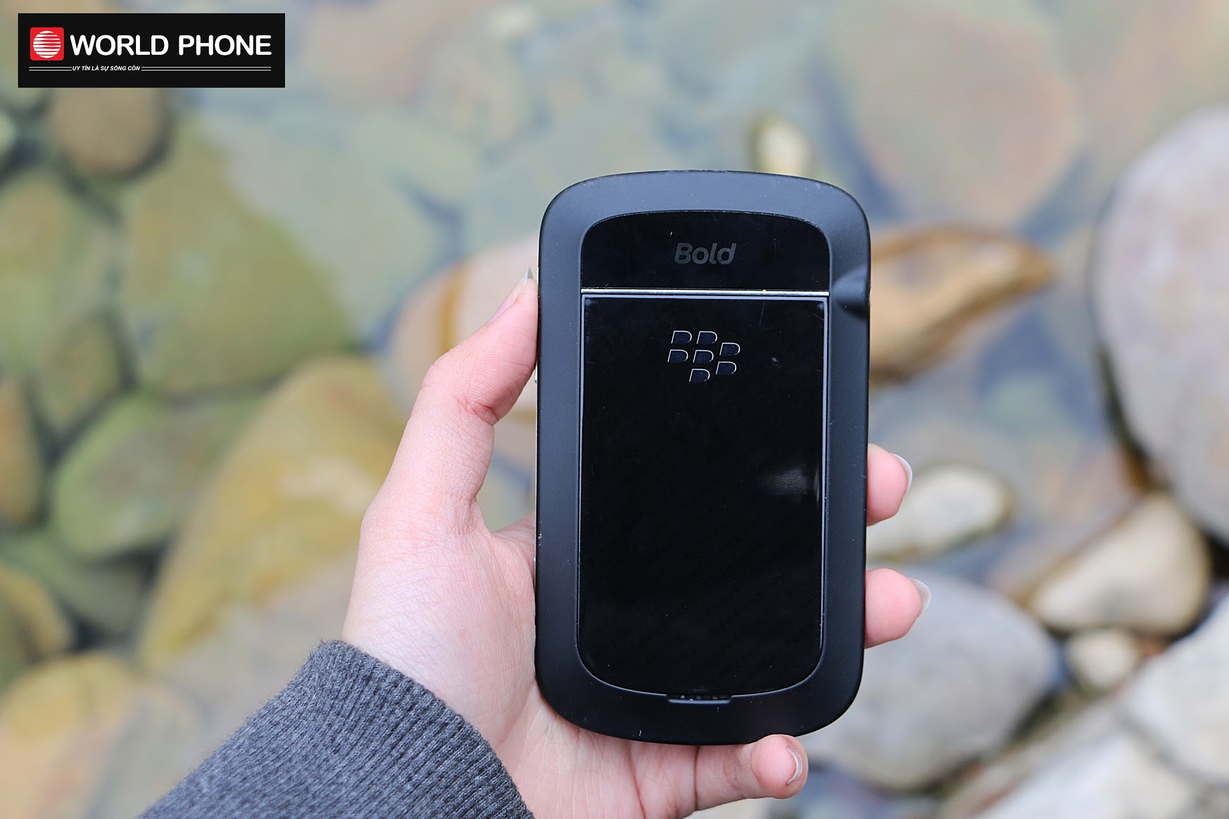 Mặt lưng với logo "Dâu" quen thuộc cùng nắp lưng có thể tháo rời