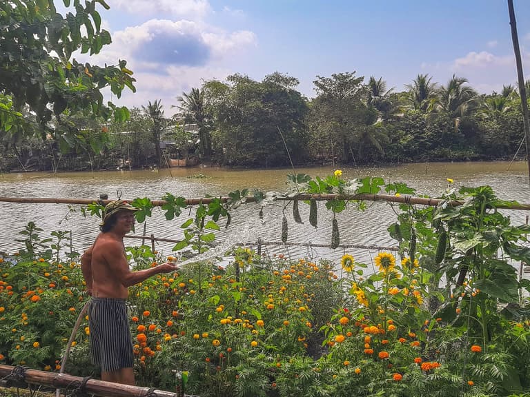 Vườn hoa ngày Tết - Ảnh sưu tầm