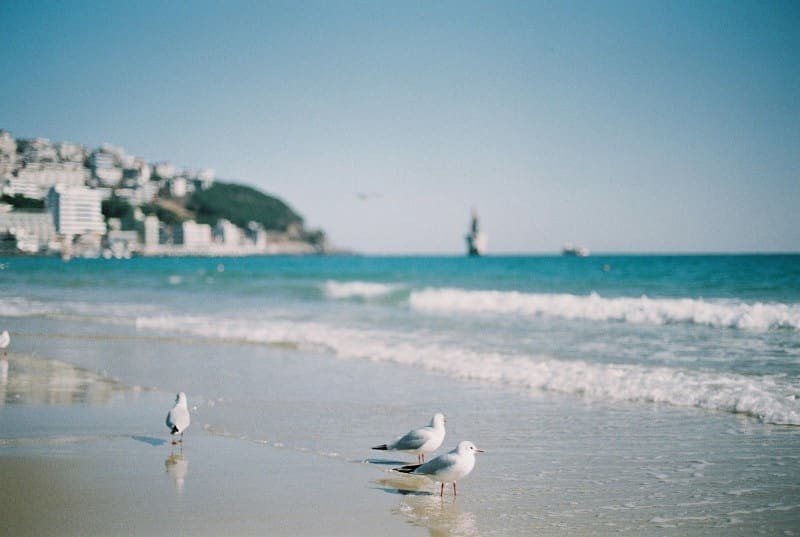 Ảnh từ Gudak Pro