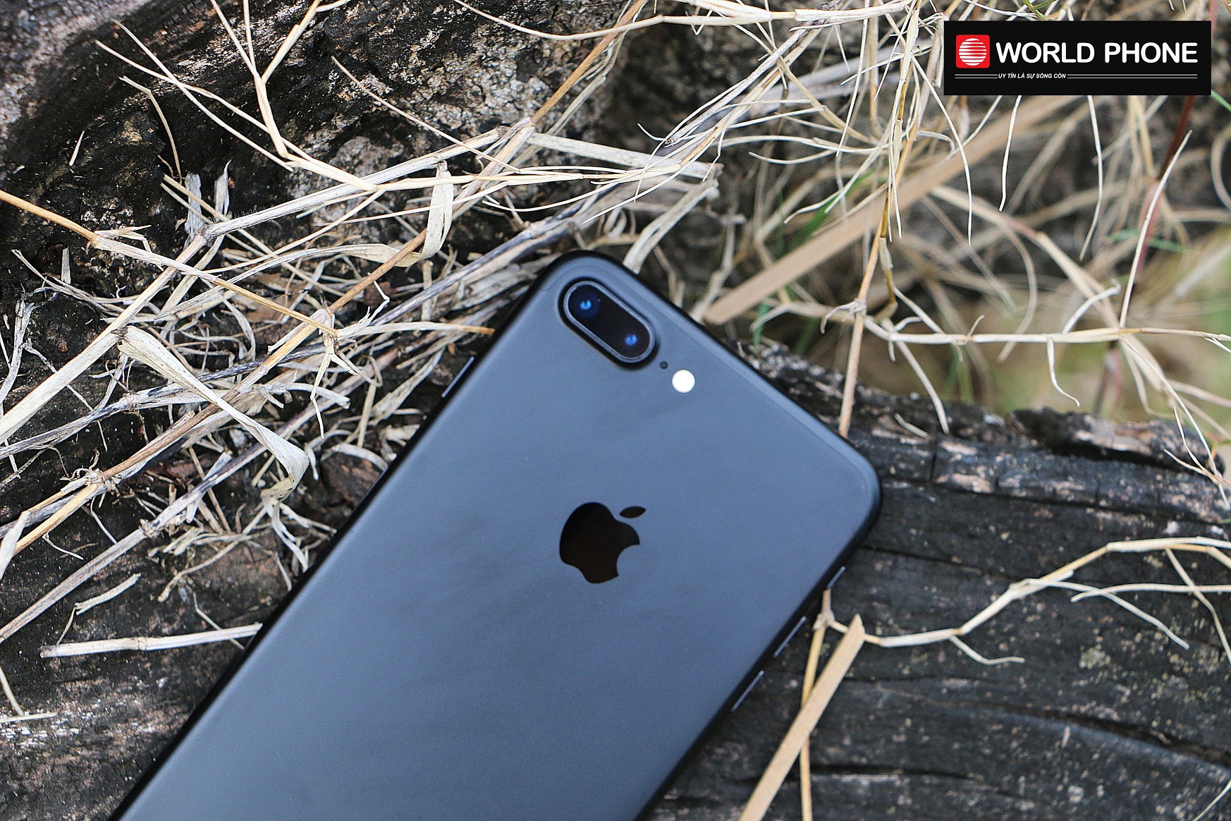 iPhone 7 Plus có 5 lựa chọn màu: đen bóng, đen nhám, bạc, vàng và vàng hồng