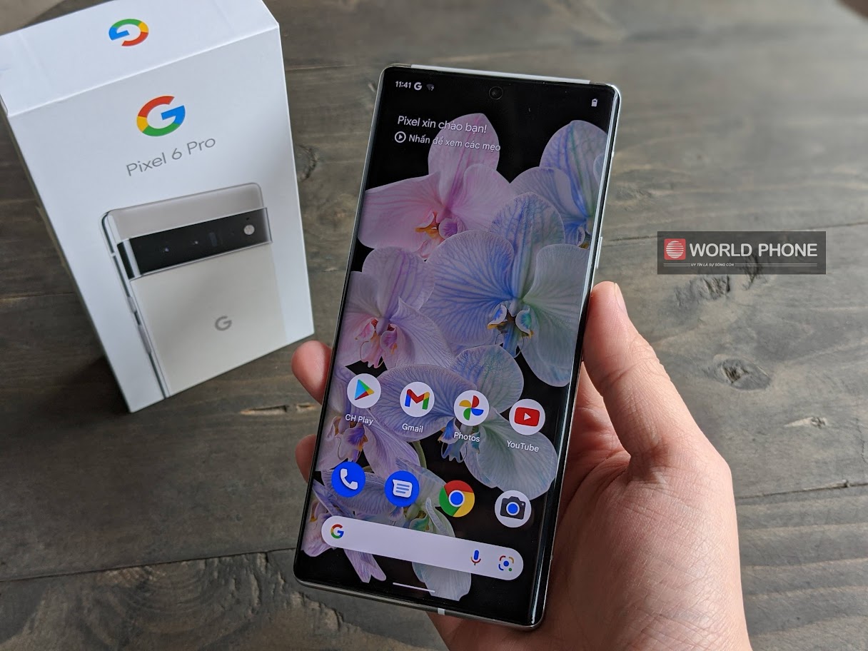 Giá bán của Pixel 6 Pro 128GB hiện nay là bao nhiêu?