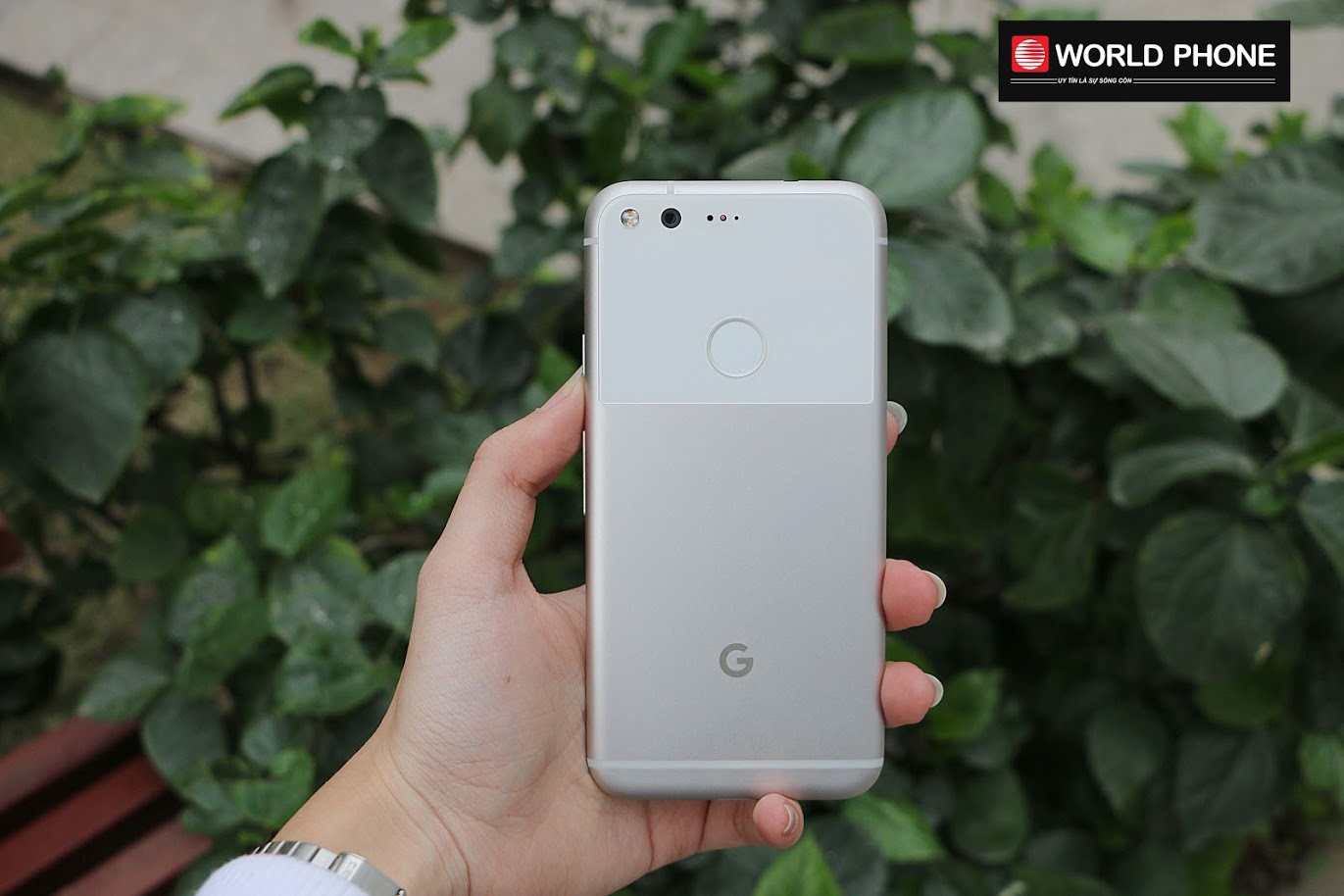 Thiết kế không giống ai của Google Pixel