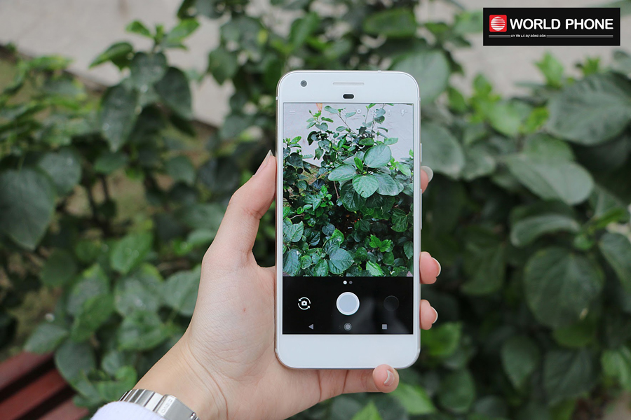 Camera siêu đỉnh của Pixel XL