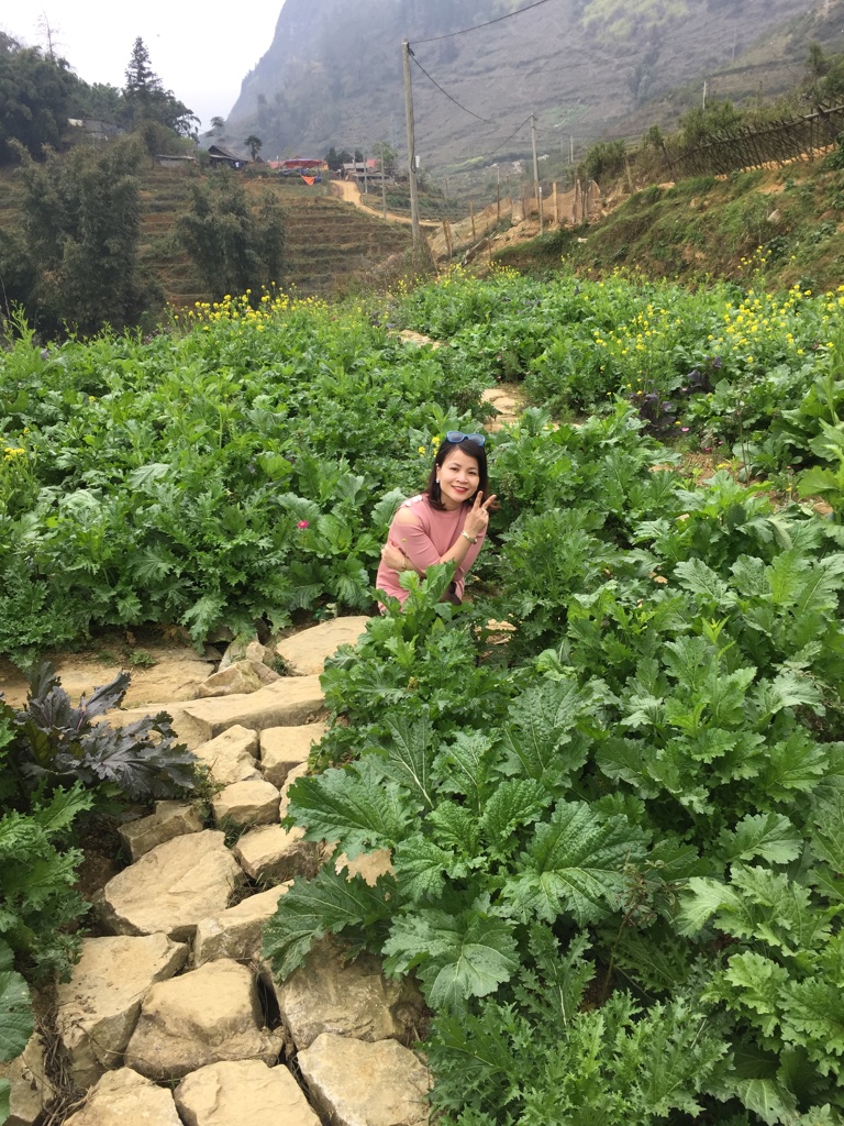 chương trình Tour du lịch Hải Phòng Sapa (3 ngày 2 đêm)