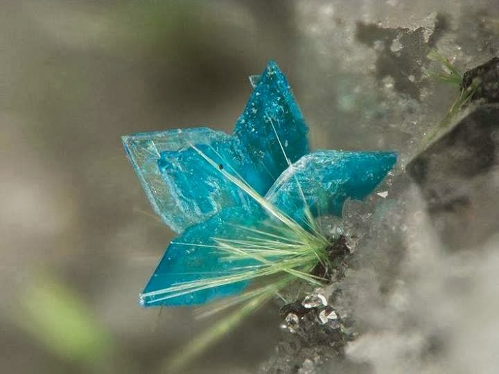 những viên đá quý hiếm nhất thế giới