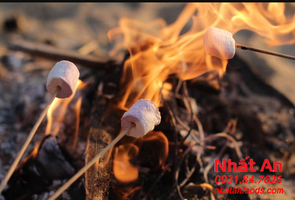 Grilled marsh mallow