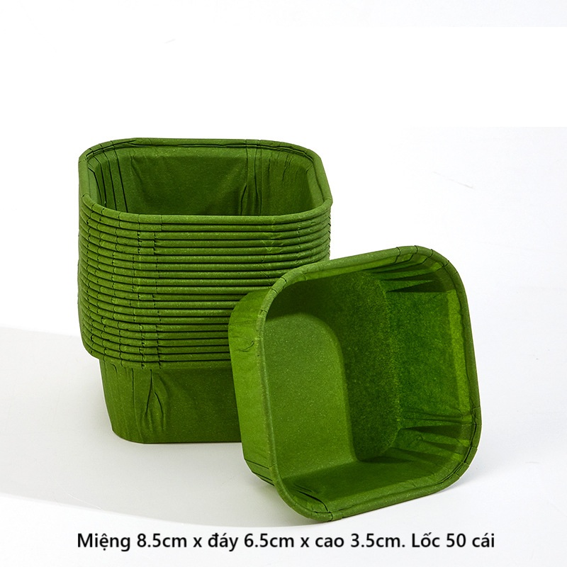 Cup giấy / chén giấy cupcake vuông màu xanh lá cây 50 cái