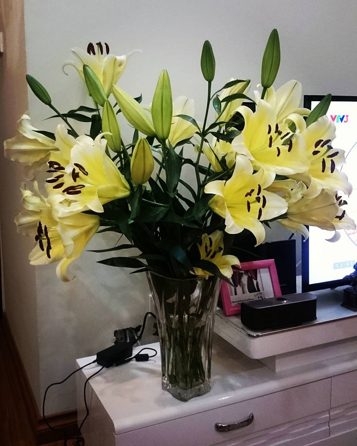 Cách cắm hoa ly để bàn phòng khách