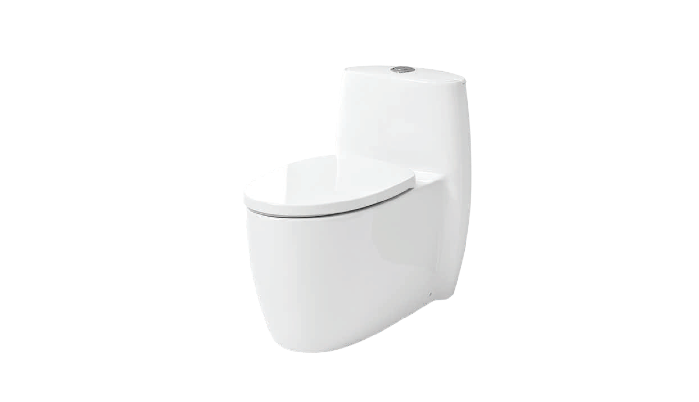 BC 889 - One Piece Toilet