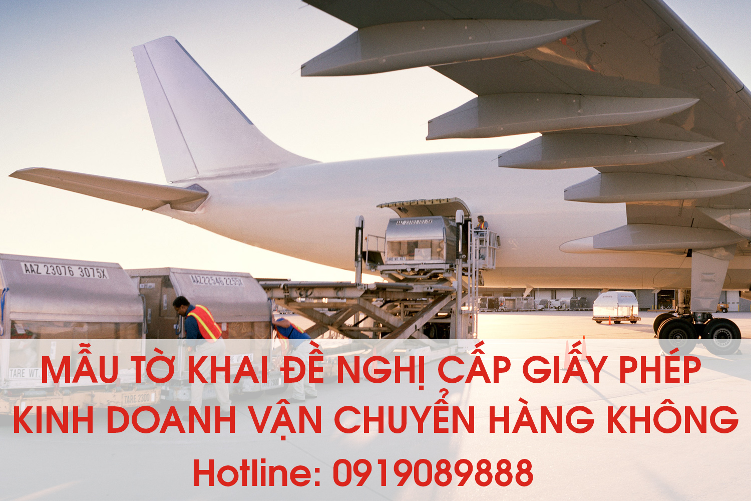 Mẫu tờ khai đề nghị cấp giấy phép kinh doanh vận chuyển hàng không