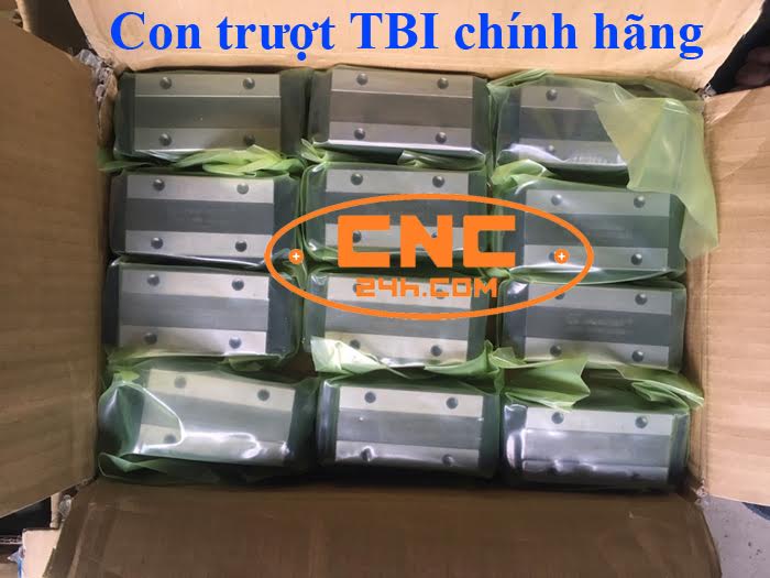 con trượt tbi chính hãng