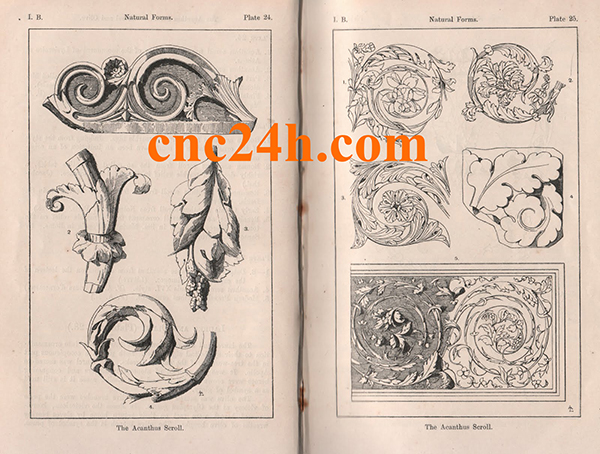 Ý nghĩa của hoa văn Hoa Lá Tây