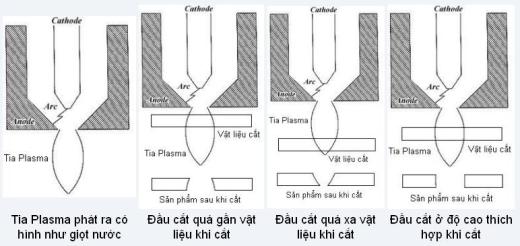 tia plasma