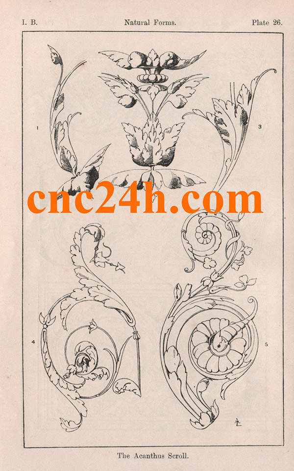 Ý nghĩa của hoa văn Hoa Lá Tây