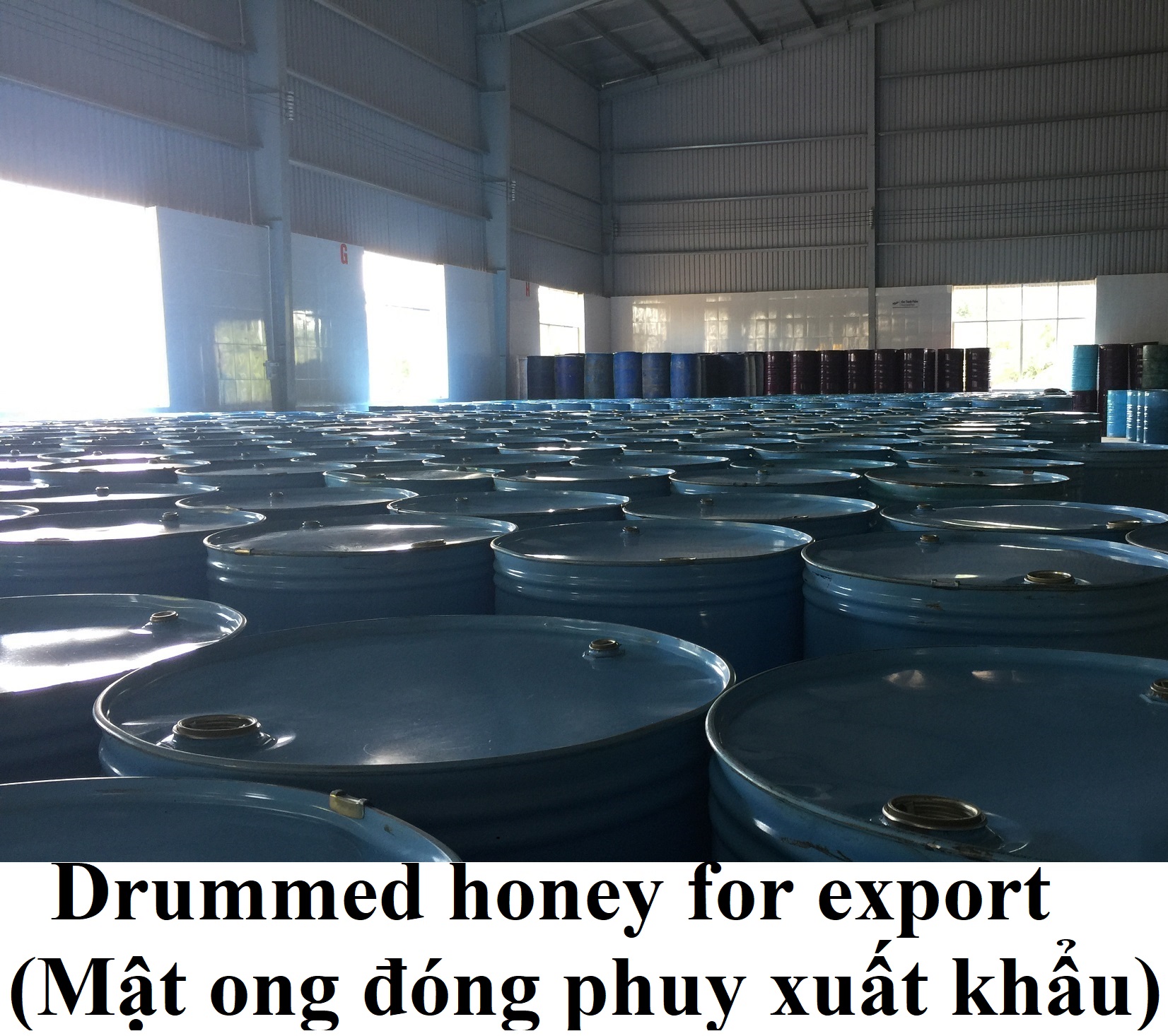 Pure Vietnamese honey </br> (Mật ong nguyên chất)