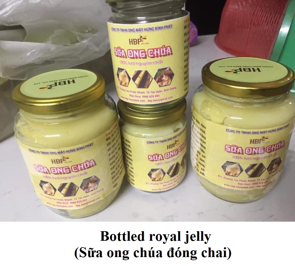 Royal jelly </br> (Sữa ong chúa)