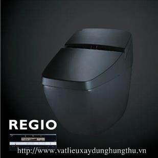 Bàn cầu cảm ứng Inax REGIO DV-R115VH-VN/BKG
