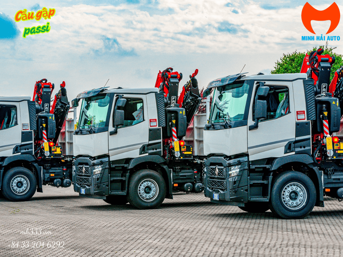 Cẩu đập chuột passi 6.1 tấn