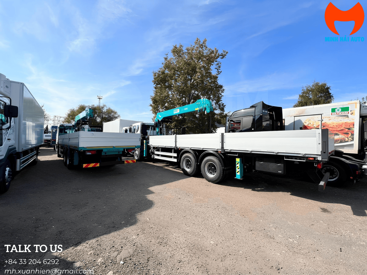 Cẩu tự hành 8 tấn hyundai