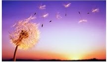 Đời người được mất đều bằng 0, hà cớ chi phải muộn phiền!