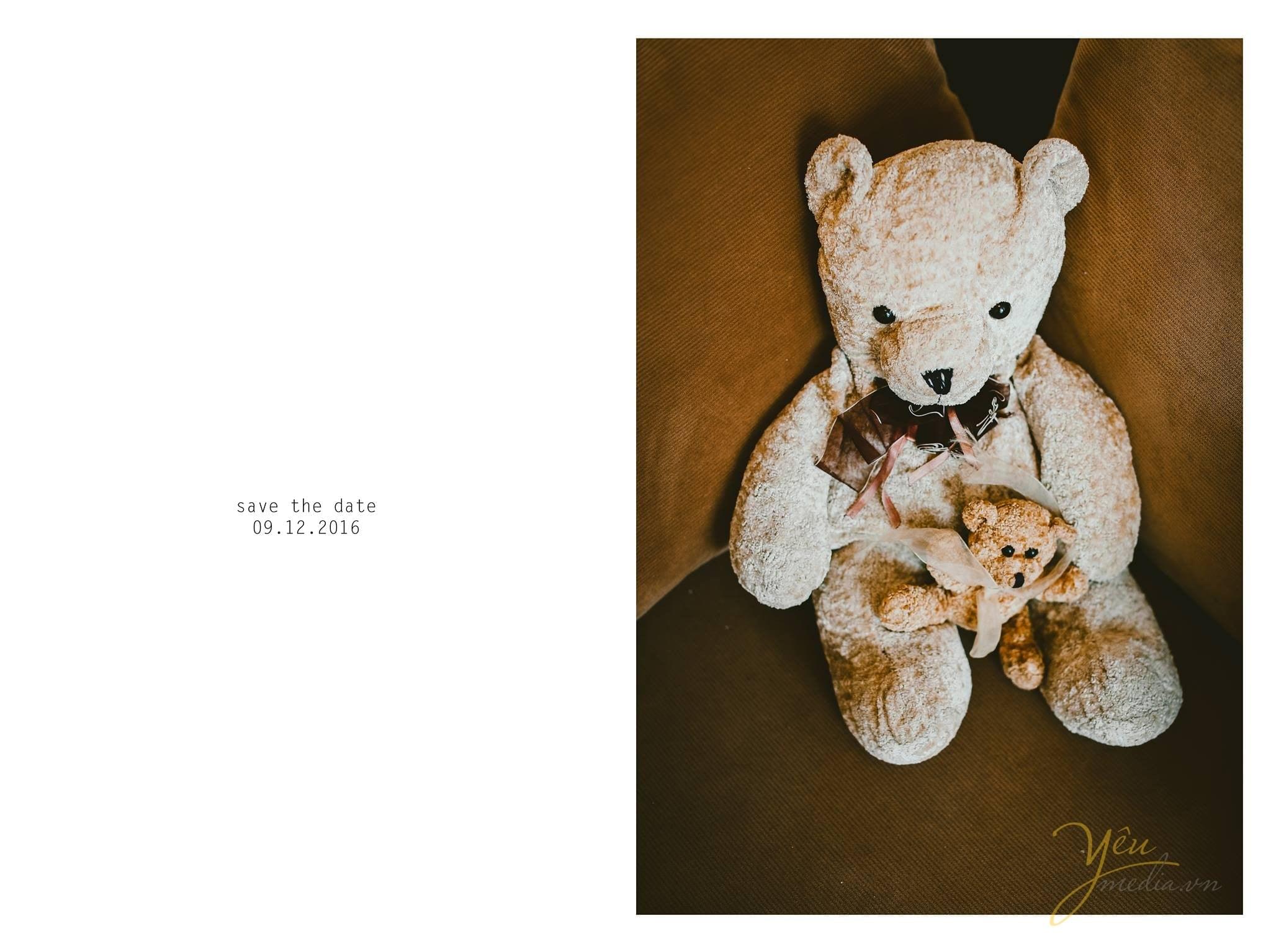 gấu teddy hành trang cùng cô dâu về nhà chồng