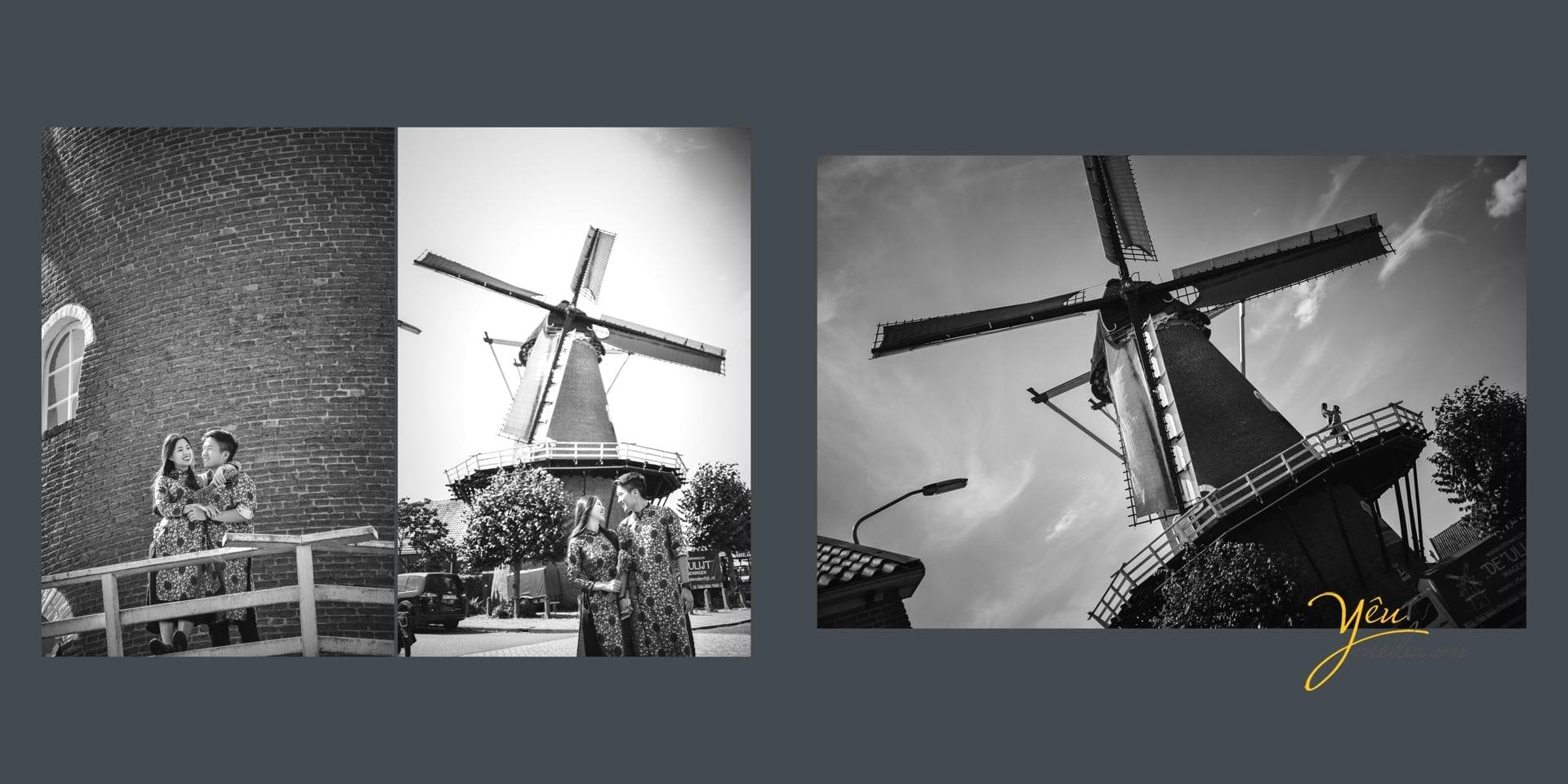 ảnh cưới chụp cố xay gió châu âu