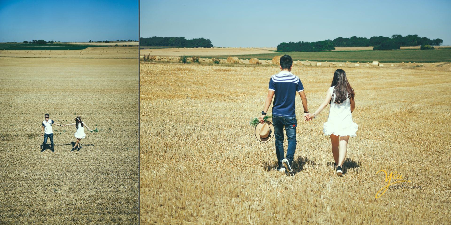 ảnh chụp cưới pre wedding tại dồng cỏ châu âu