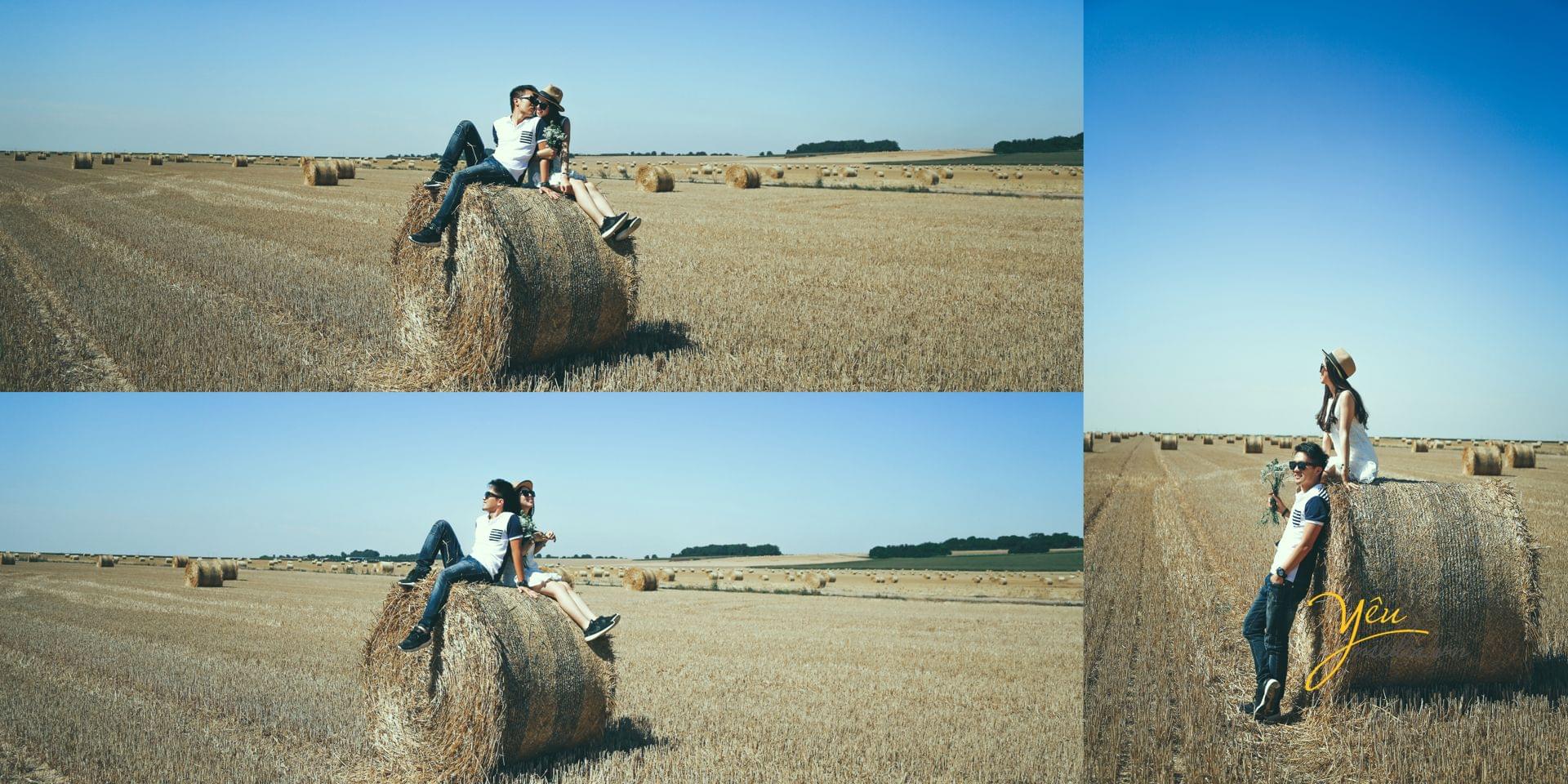 ảnh cưới ngoại cảnh chụp thảm cỏ châu âu