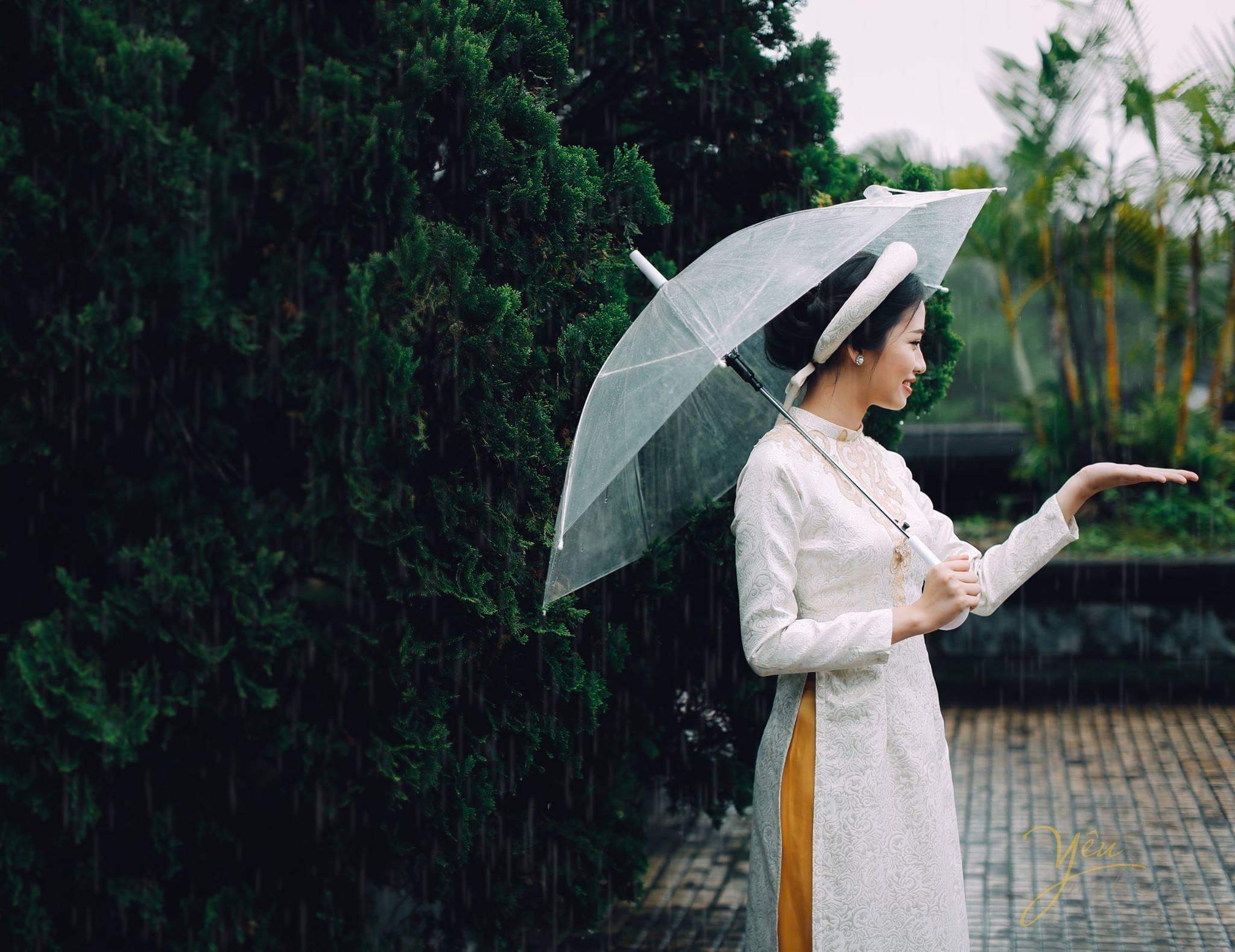 chụp cô dâu dưới mưa ô trong suốt