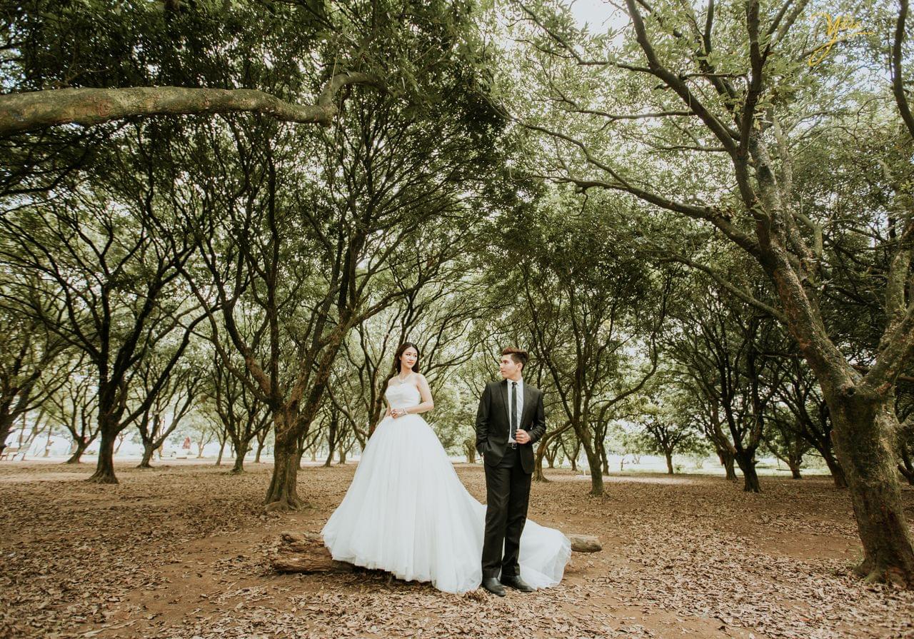 ảnh cưới ngoại cảnh cô dâu đứng trên cành cây mục nhìn chú rể