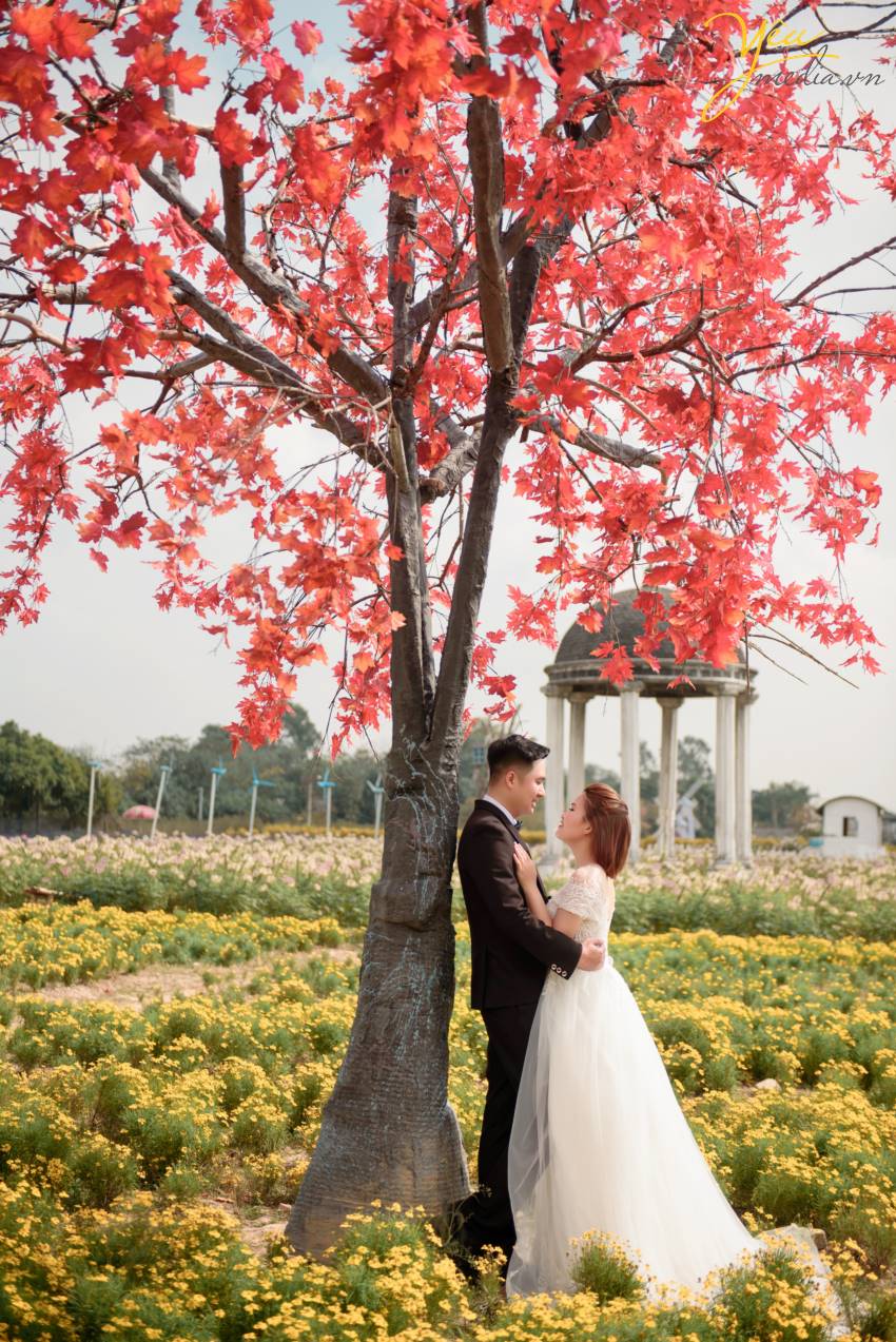 Chính vì vẻ đẹp thơ mộng mà giản dị này của thảo nguyên hoa Thạch Cầu, cặp đôi chú rể Tòng - cô dâu Thanh của Yêu Media đã quyết định lựa chọn địa điểm này làm phim trường chụp ảnh cho bộ hình cưới ý nghĩa của cuộc đời mình.