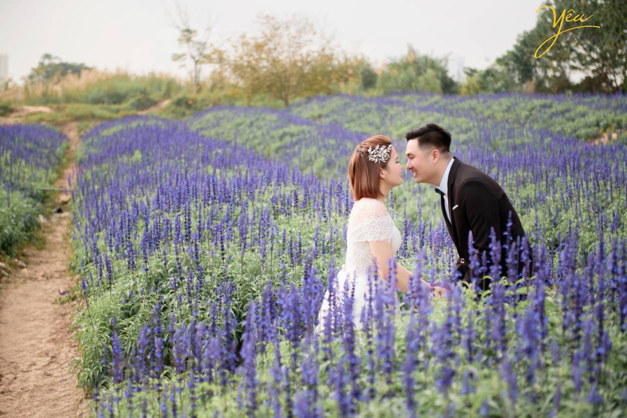 Chính vì vẻ đẹp thơ mộng mà giản dị này của thảo nguyên hoa Thạch Cầu, cặp đôi chú rể Tòng - cô dâu Thanh của Yêu Media đã quyết định lựa chọn địa điểm này làm phim trường chụp ảnh cho bộ hình cưới ý nghĩa của cuộc đời mình.