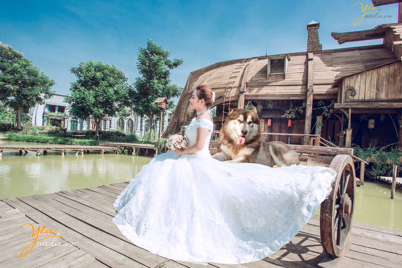 ảnh cưới chụp cô dâu một mình nhìn xa xăm nhớ chú chó