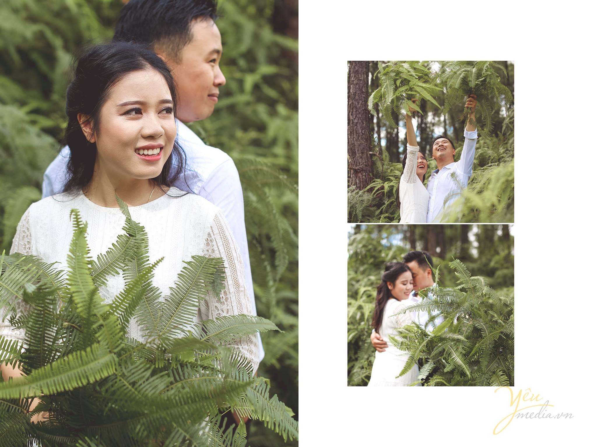 ảnh chụp cô dâu chú rể áp lưng chụp tại rừng thông