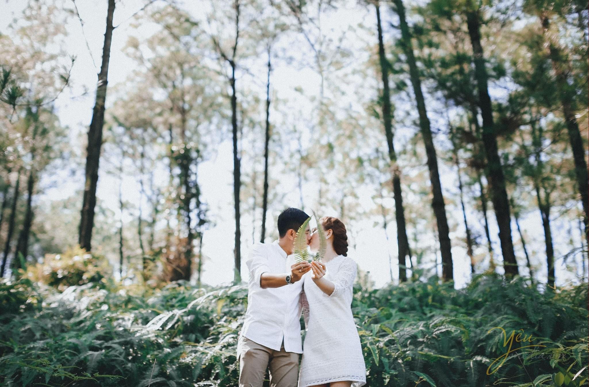 ảnh chụp cưới váy trắng vintage nhẹ nhàng tại đồi thông