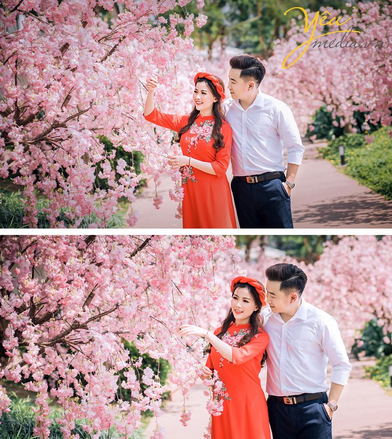 ảnh cưới cô dâu chú rể mặc áo dài và sơ mi trắng