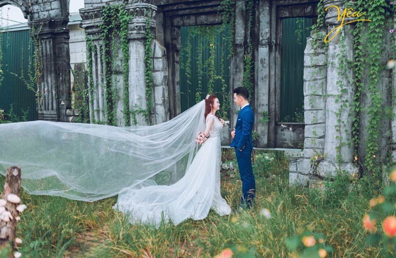 chụp ảnh cưới tại Thảo nguyên hoa Long Biên