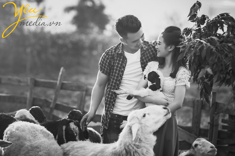 chụp ảnh cưới tại Thảo nguyên hoa Long Biên