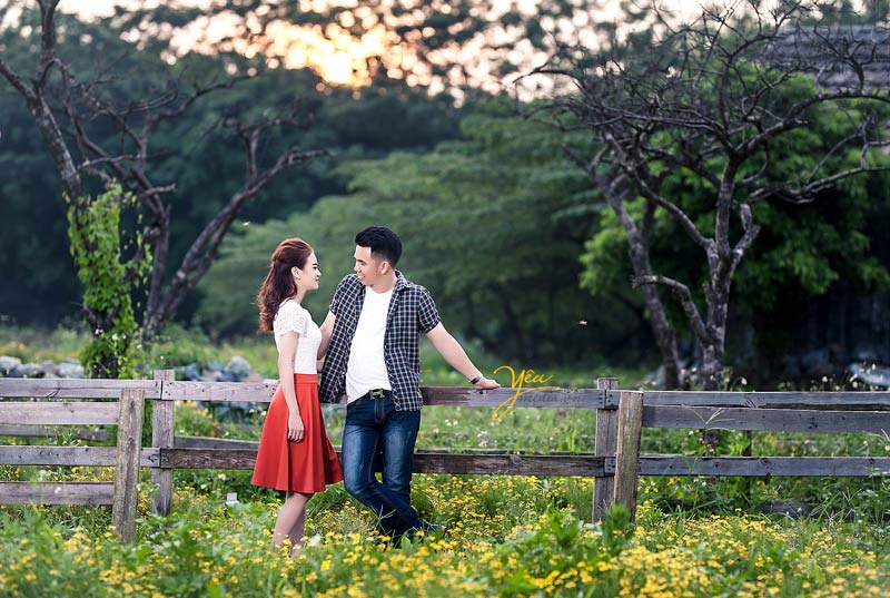 chụp ảnh cưới tại Thảo nguyên hoa Long Biên