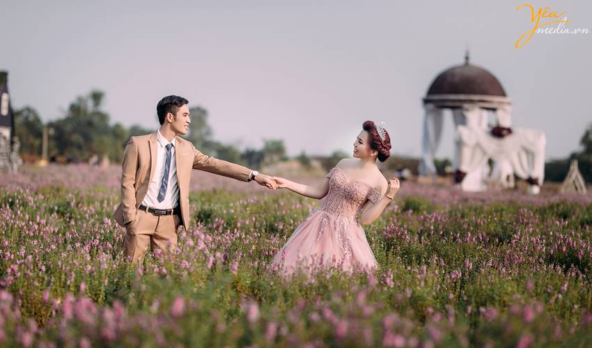 chụp ảnh cưới tại thảo nguyên hoa Long Biên