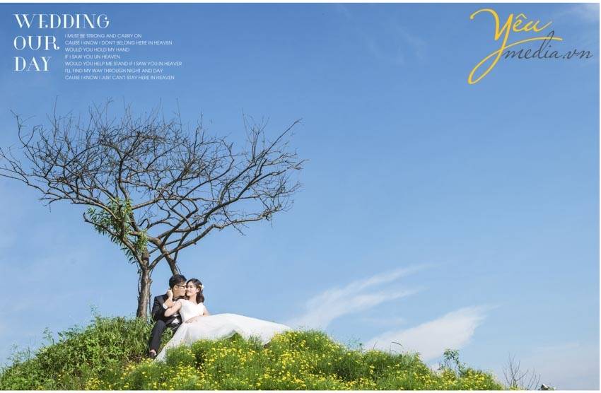 chụp ảnh cưới chụp tại thảo nguyên hoa Long Biên
